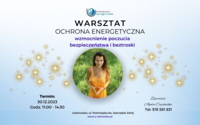 30 grudzień 2023 – Ochrona energetyczna – warsztat